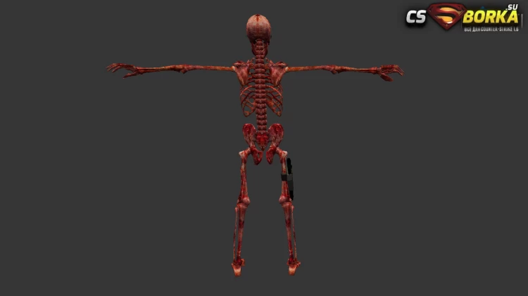 Модель «Skeleton КТ/ТТ» для CS 1.6 для CS 1.6